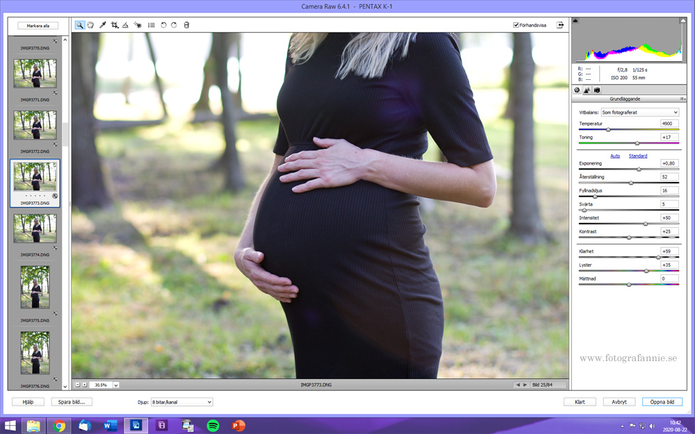 Sneak peek – gravidfotografering